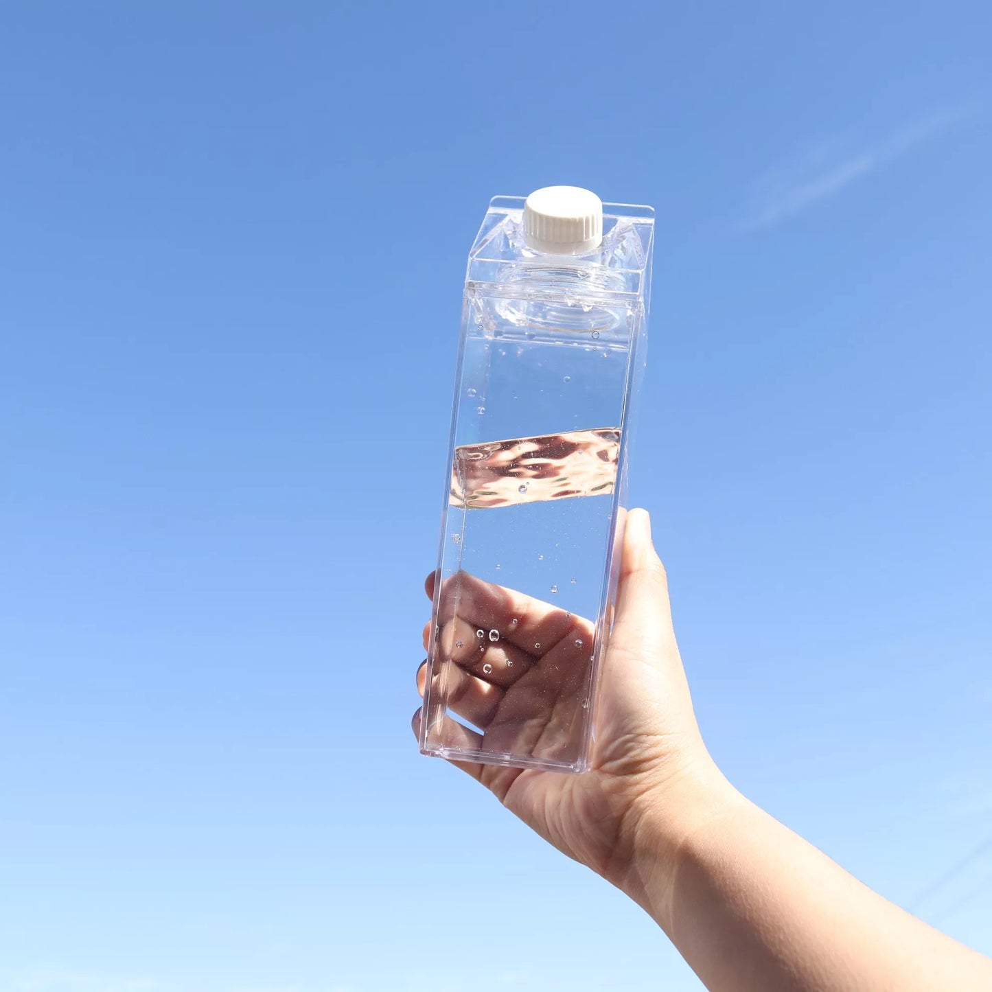 Acrylic Milk Carton