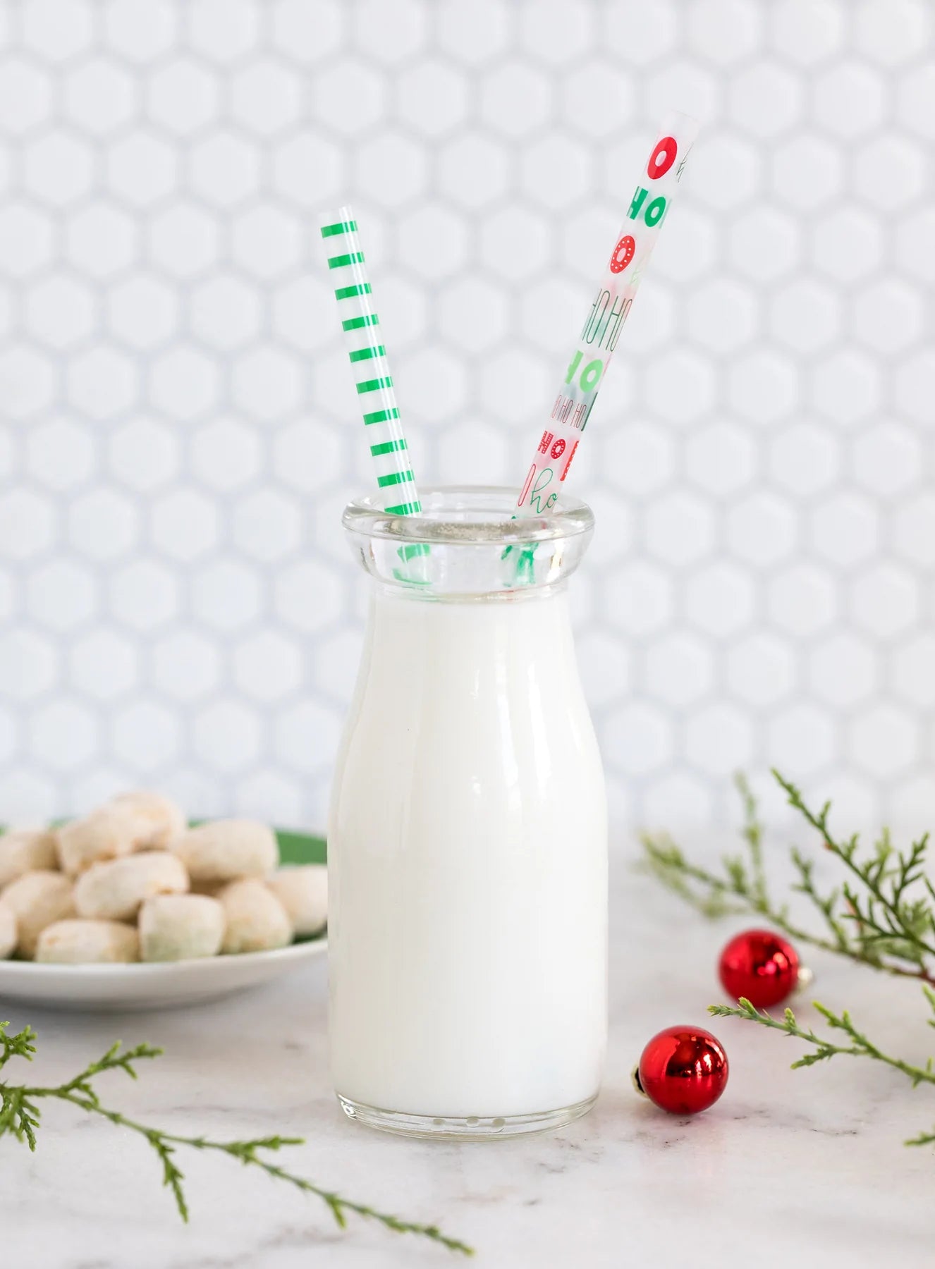HO HO HO & Green Stripes Reusable Straws