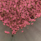 Cafecito & Chisme Clay Polymer (5MM) Pink and Brown